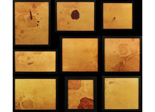 GARUTTI ALBERTO 